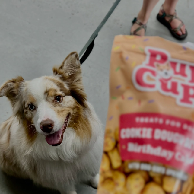Pup Cup! Cookie Dough Bites Birthday Cake