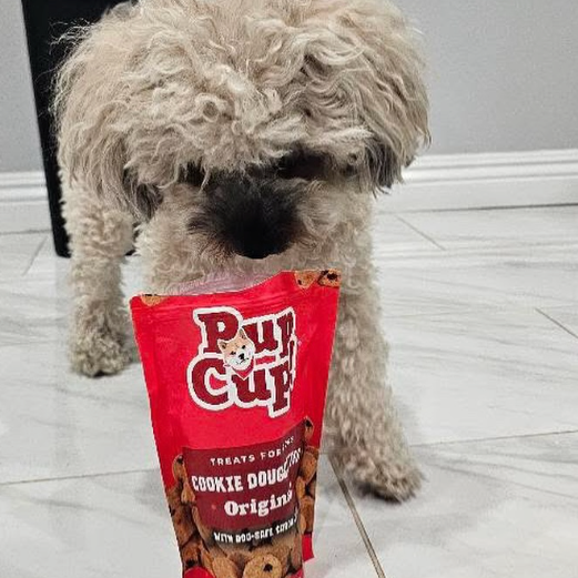 Pup Cup! Cookie Dough Bites Original